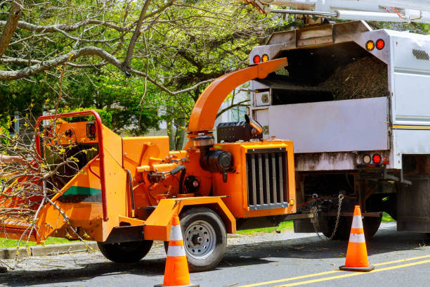 Best Utility Line Clearance  in Wenonah, NJ